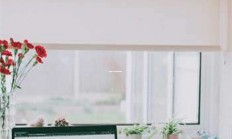 天涯社区海南：一个让人翘首以盼的网络家园！